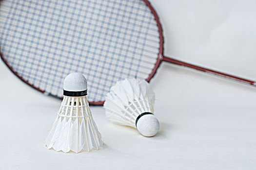 领队克里斯 领队克里斯